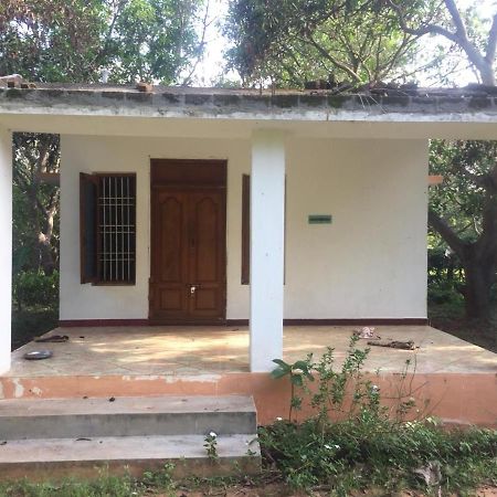 Art Forest Hotel Auroville Zewnętrze zdjęcie