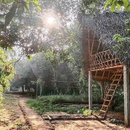 Art Forest Hotel Auroville Zewnętrze zdjęcie