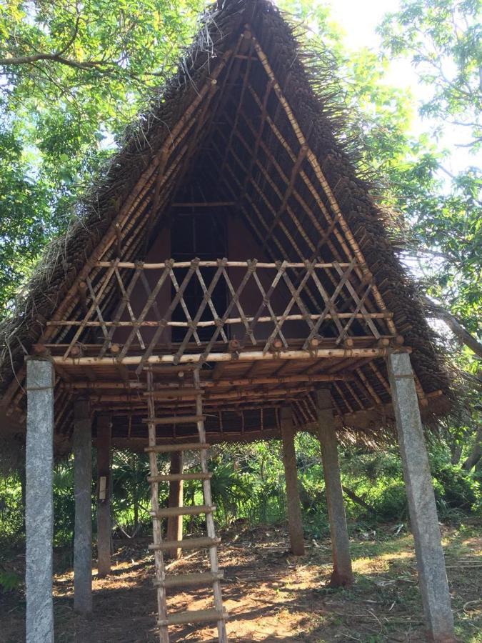 Art Forest Hotel Auroville Zewnętrze zdjęcie