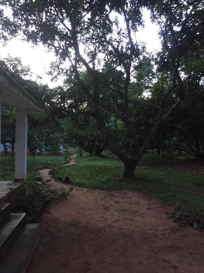 Art Forest Hotel Auroville Zewnętrze zdjęcie