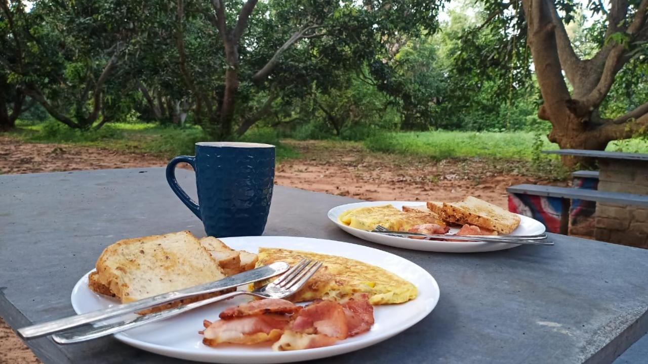 Art Forest Hotel Auroville Zewnętrze zdjęcie
