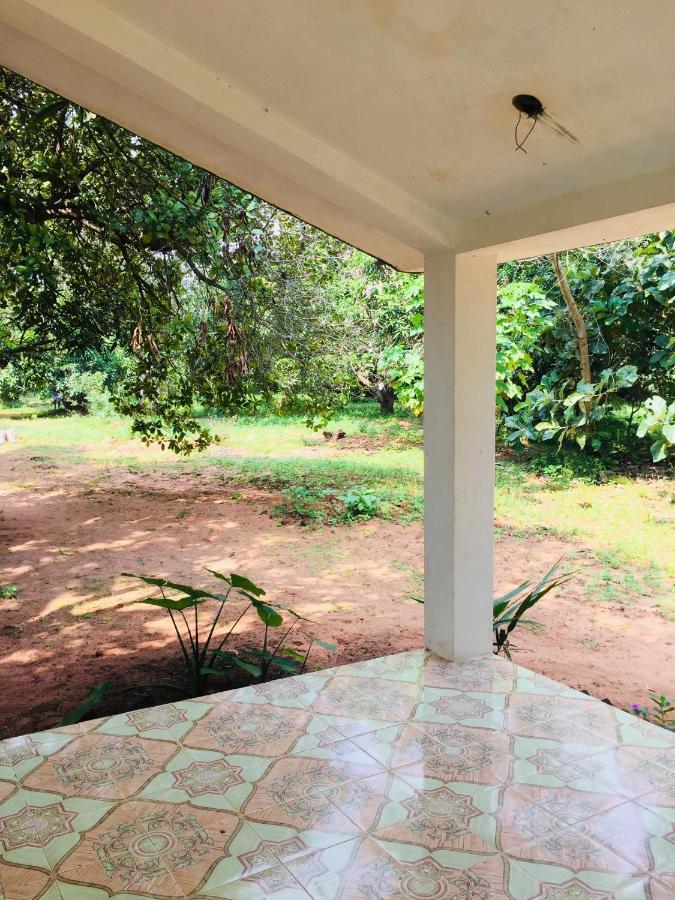 Art Forest Hotel Auroville Zewnętrze zdjęcie