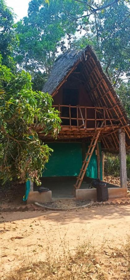Art Forest Hotel Auroville Zewnętrze zdjęcie